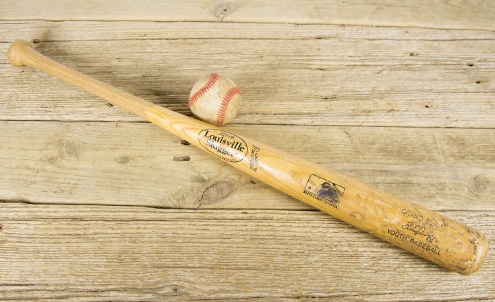 Baseball Bat Guide